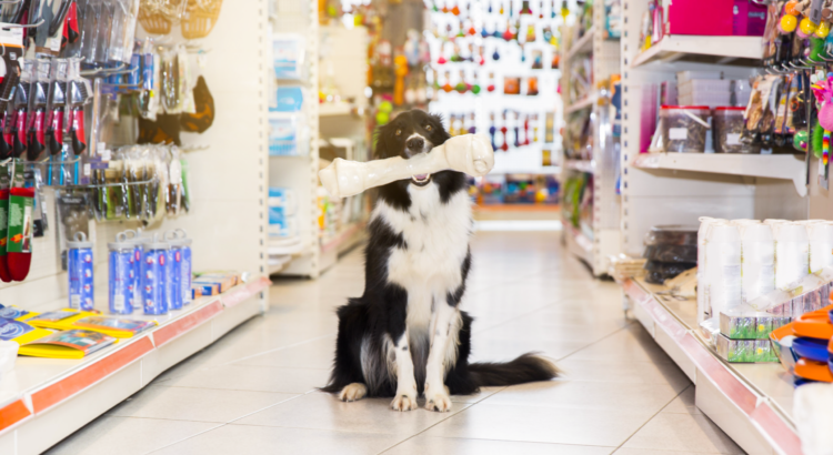 Produtos Pet