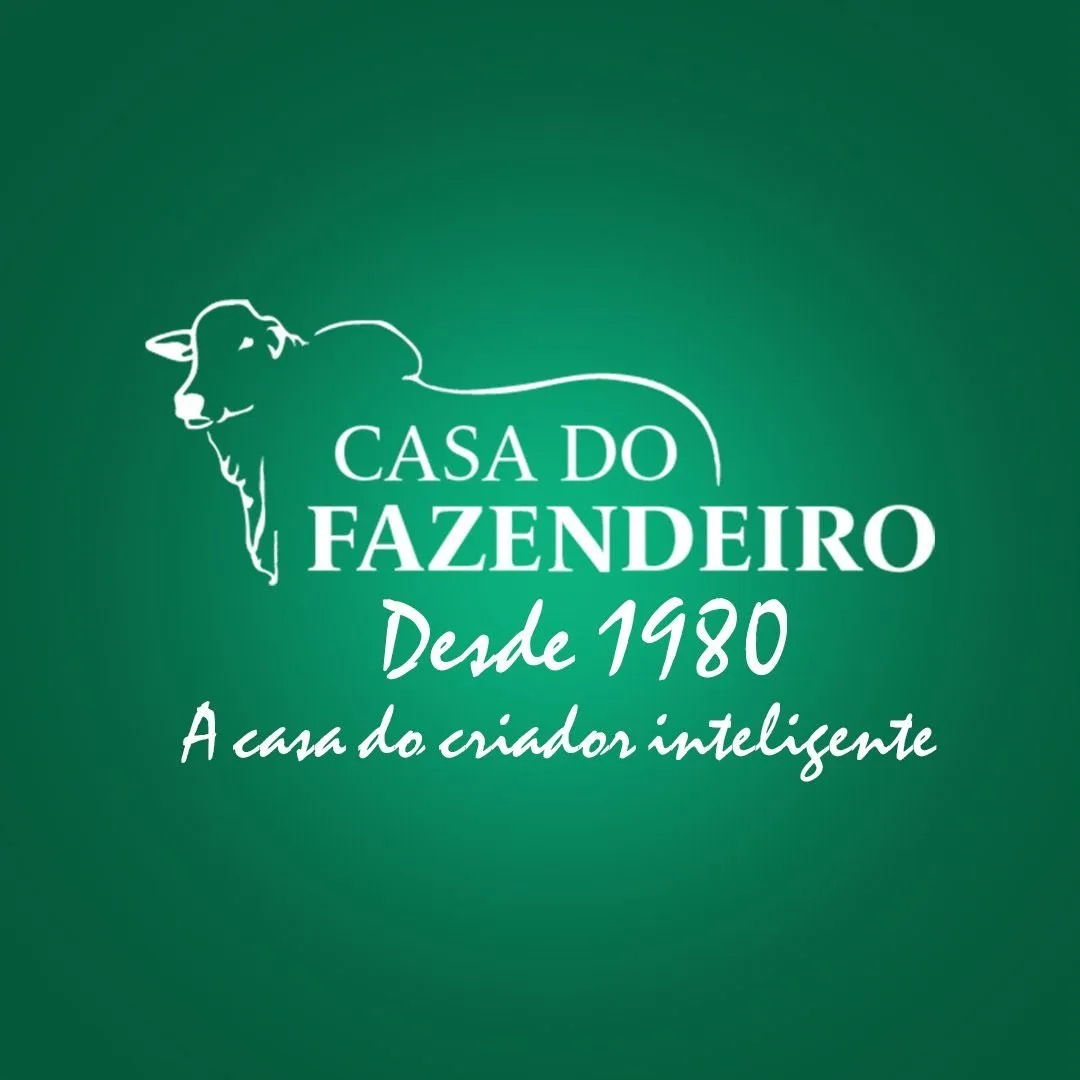 Bovinos no campo — Veterinária & Pet